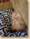 IMG-20190126-WA0010.jpg