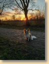 IMG-20190203-WA0003.jpg