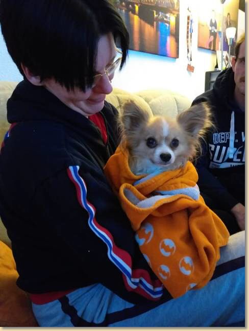 IMG-20190206-WA0001.jpg