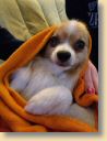 IMG-20190206-WA0004.jpg