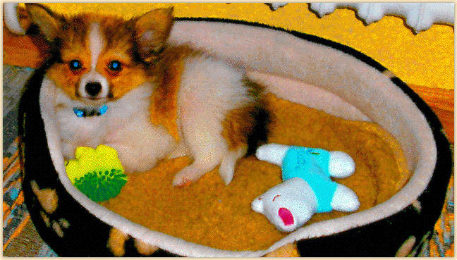 image001.gif