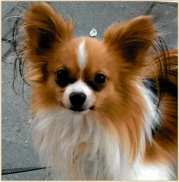 image002.gif