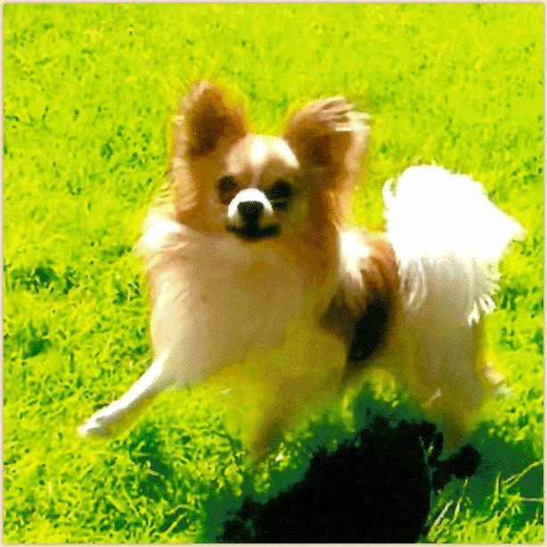 image003.gif