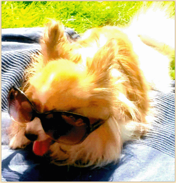 image004.gif
