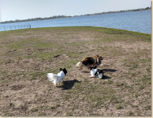 IMG_20190419_155250716_HDR.jpg