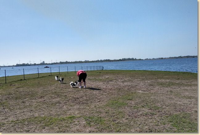 IMG_20190419_155451142_HDR.jpg