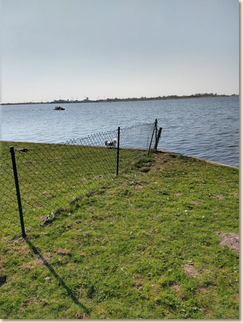IMG_20190419_160215663_HDR.jpg