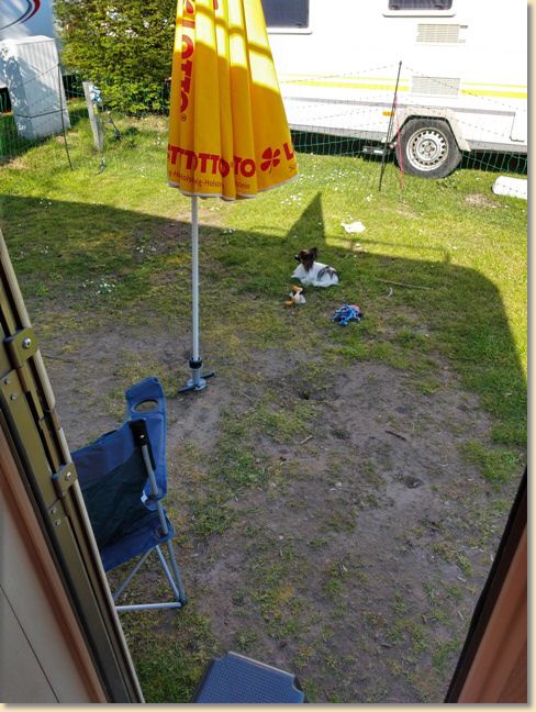 IMG_20190420_163123574_HDR.jpg