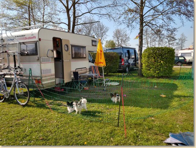 IMG_20190420_170102658_HDR.jpg