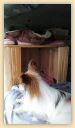 IMG-20210911-WA0013.jpg
