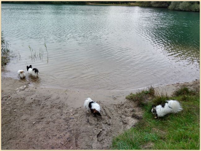 IMG_20210911_121025449_HDR.jpg