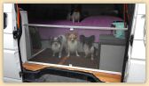 IMG-20180817-WA0019.jpg