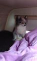 IMG-20190411-WA0001.jpg