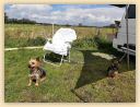IMG-20210811-WA0006.jpg