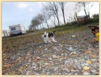 DSCN1325.jpg