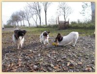 DSCN1328.jpg