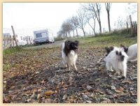 DSCN1329.jpg