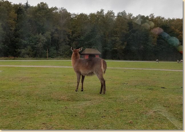 IMG_20200927_114213493_HDR.jpg