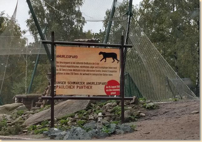 IMG_20200927_121636898_HDR.jpg