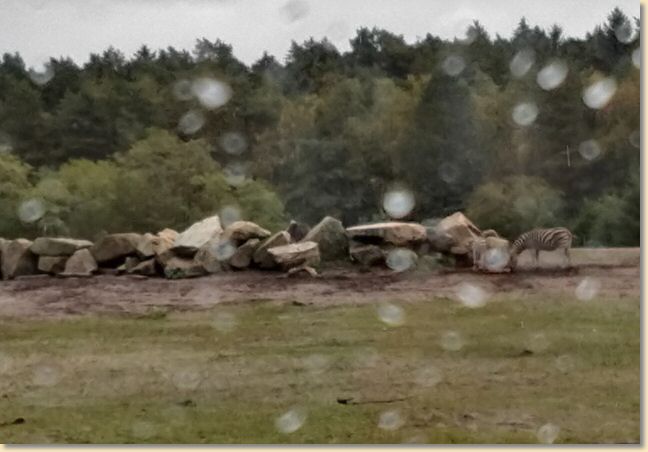 IMG_20200927_130805667_HDR.jpg