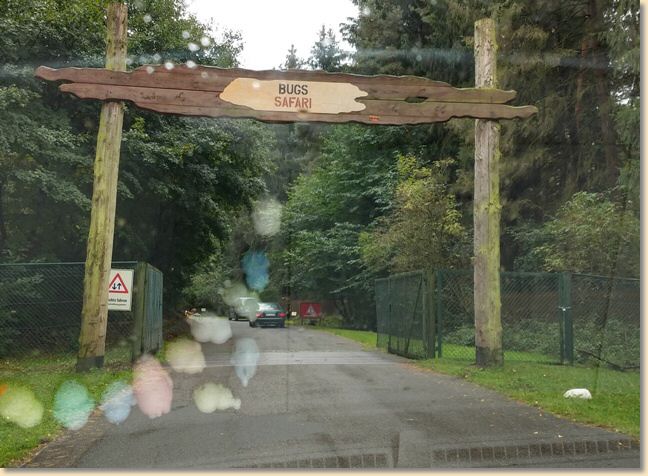 IMG_20200927_133409667_HDR.jpg