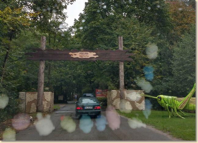 IMG_20200927_133504385_HDR.jpg