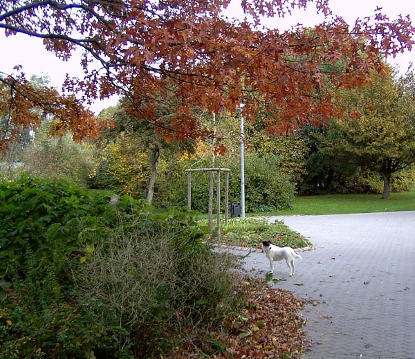 261004_21.jpg