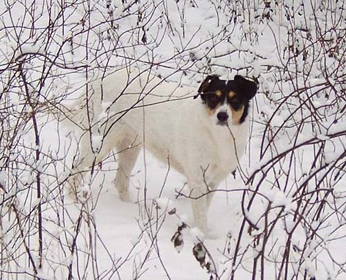 Jan06022.jpg