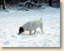 winter024.jpg