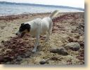 Strand005.jpg