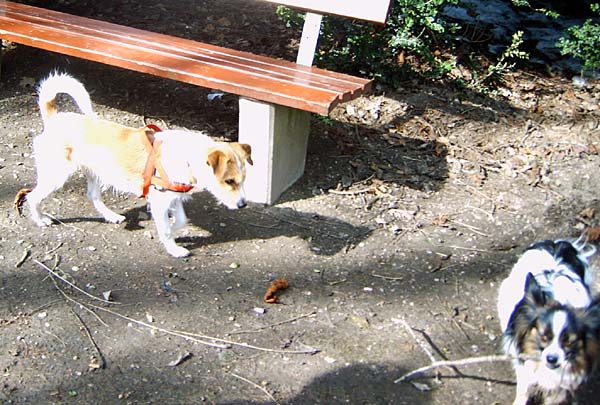greta004.jpg