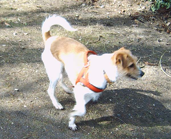 greta005.jpg