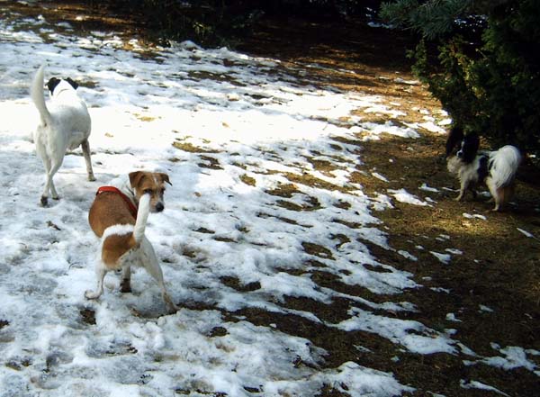 greta008.jpg