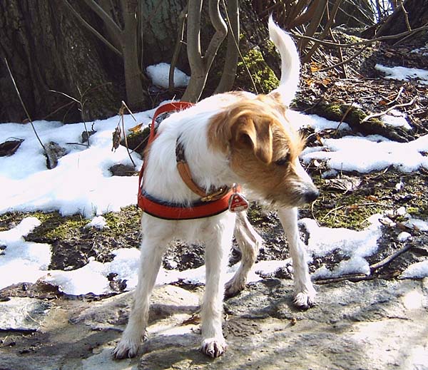 greta010.jpg