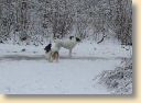 100209_001.jpg