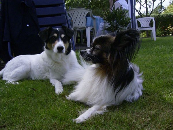 220809_014.jpg