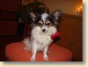 DSC00214.jpg