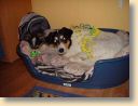 DSC00218.jpg