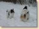 DSC00123.jpg