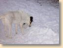 DSC00232.jpg