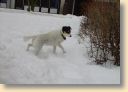 DSC00386.jpg