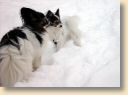 DSC00434.jpg