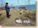 DSC00797.jpg