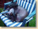 DSC01446.jpg