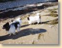 DSC01506.jpg