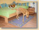 DSC01710.jpg