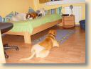 DSC01711.jpg