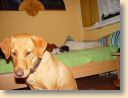 DSC01714.jpg