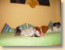 DSC01717.jpg