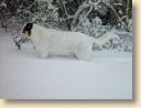 DSC01754.jpg